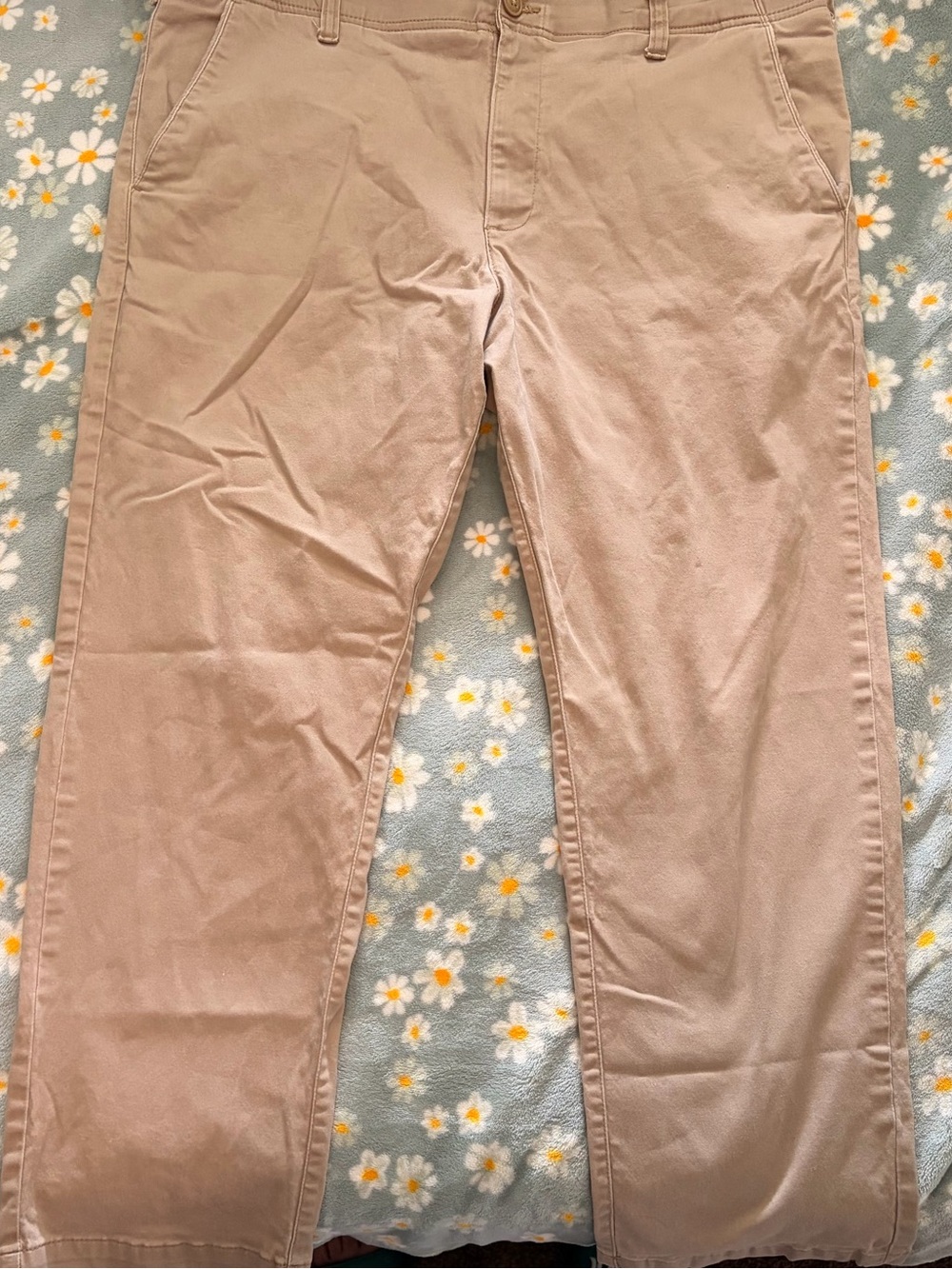 Lee Extreme Comfort Straight Fit Pants in Beige and Brown